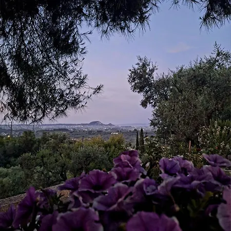 Meltemaki * Mouzakion (Zakynthos)